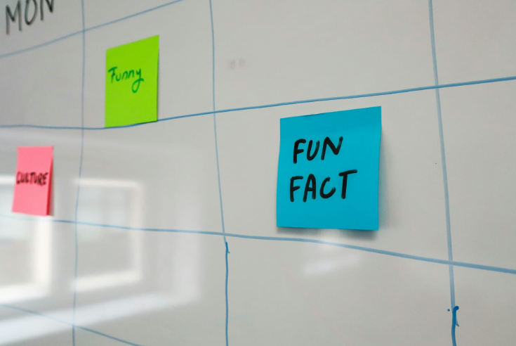 interesting fun facts 