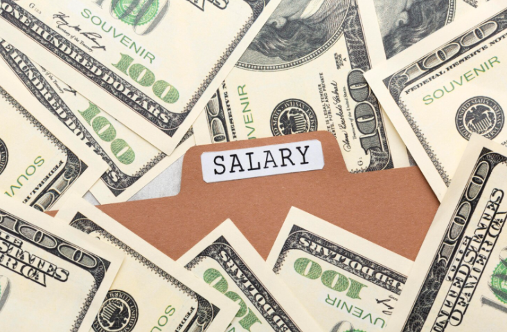 Veterinarian salary and compensation overview