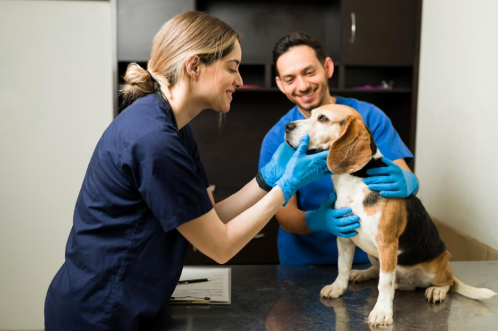 veterinary technicians vet tech weeks